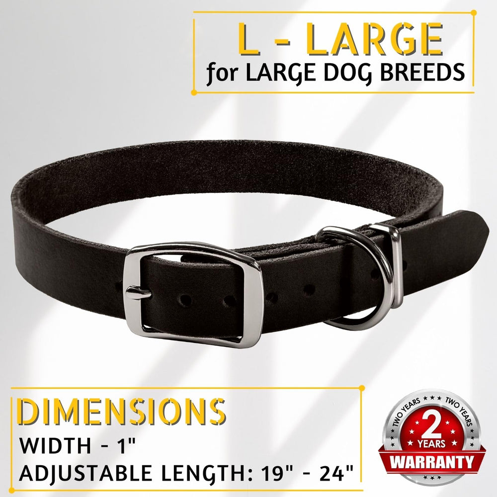 ADITYNA black leather collar on a dog during a walking session.