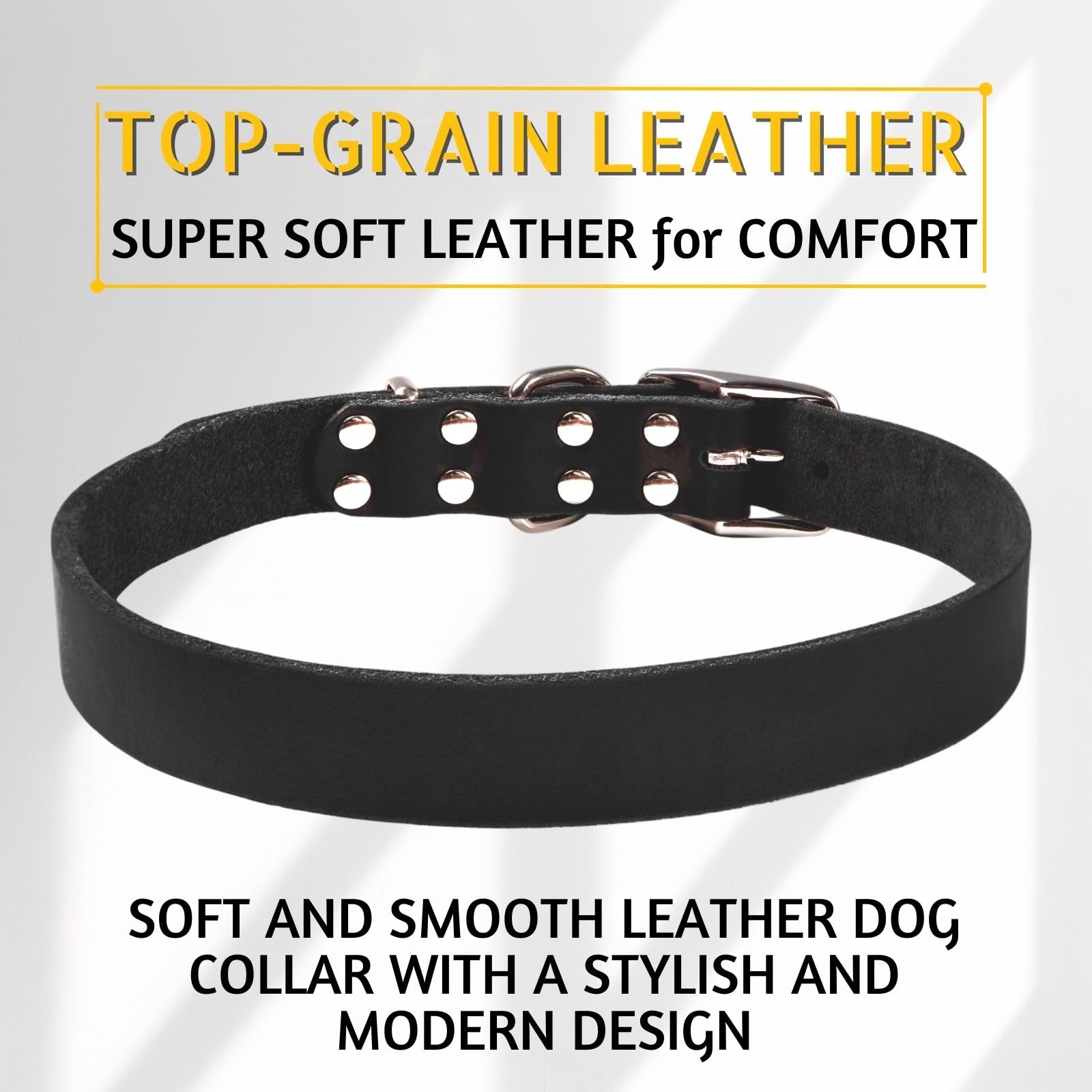 ADITYNA Black XL collar on a dog during hiking for comfort and safety