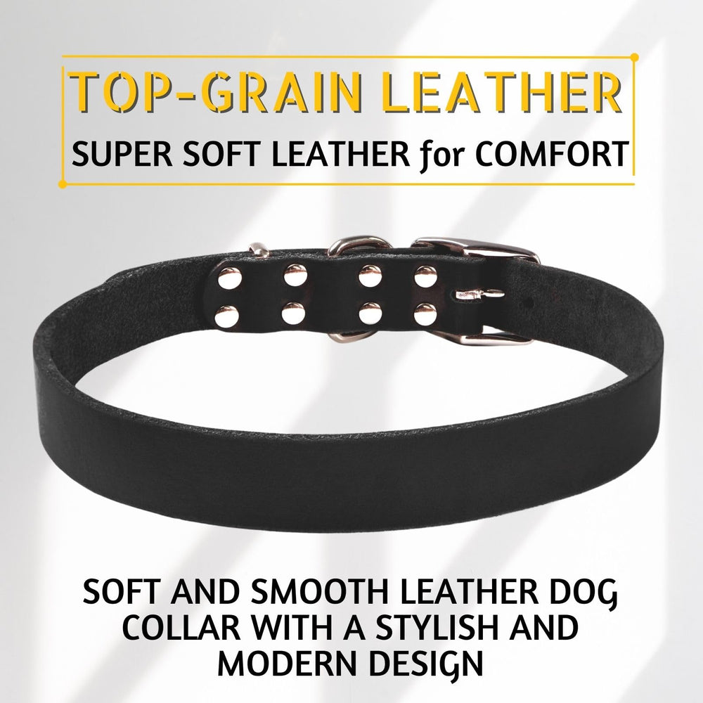 ADITYNA Black XL collar on a dog during hiking for comfort and safety