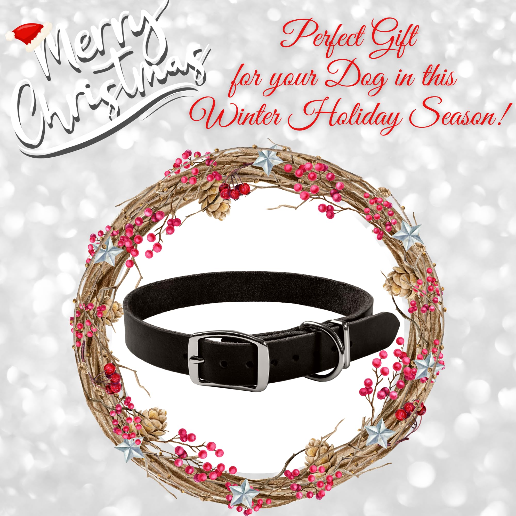 ADITYNA collar featuring D-rings for reliable leash connection.