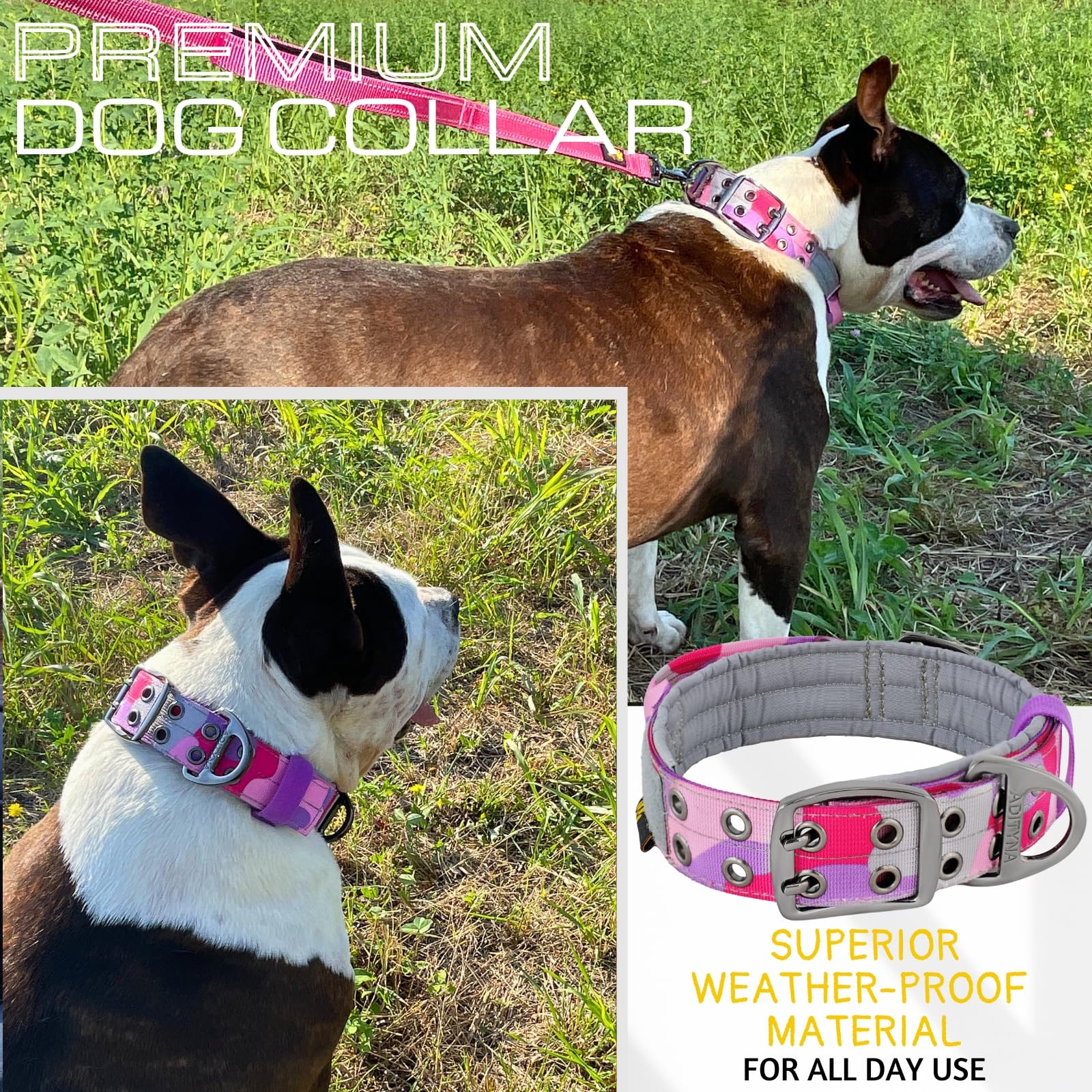ADITYNA adjustable collar with D-ring for reliable leash connection.