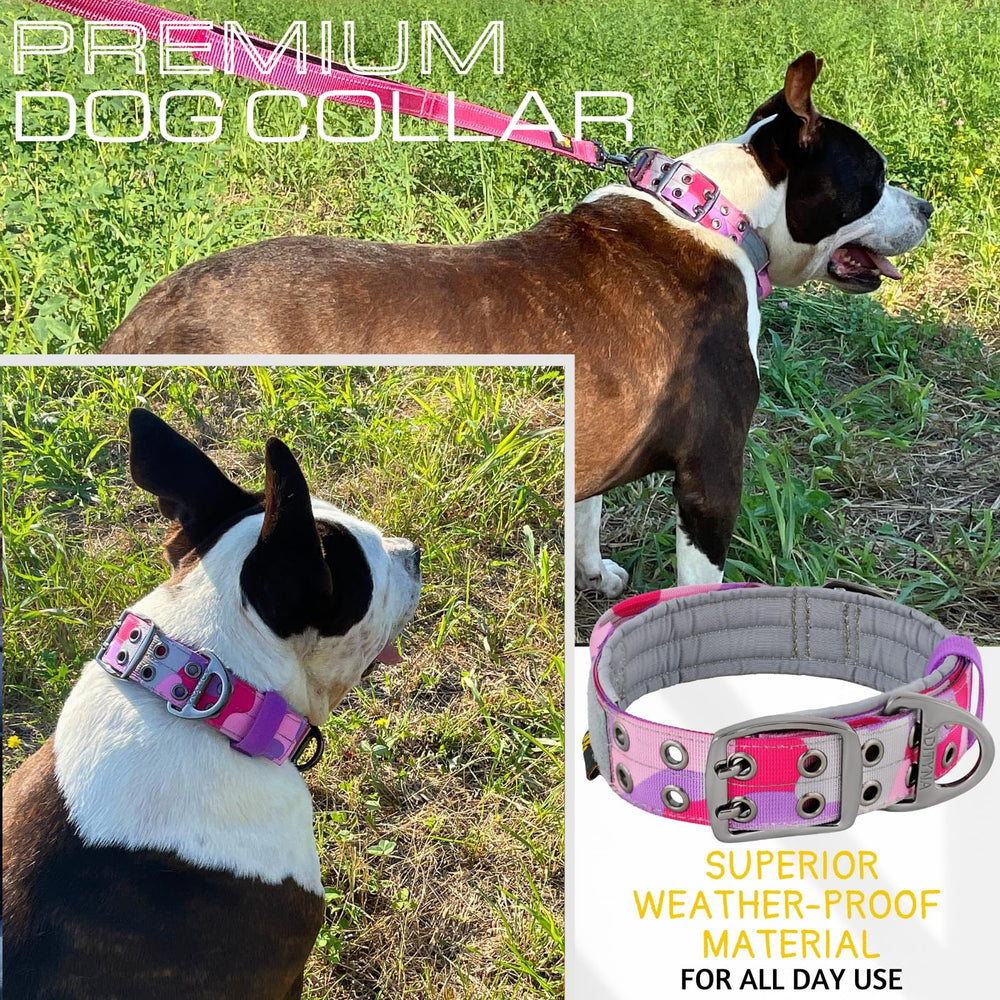 ADITYNA adjustable collar with D-ring for reliable leash connection.