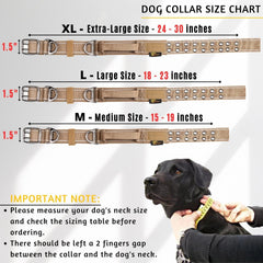 ADITYNA heavy-duty dog collar closeup shows rugged D-ring for secure leashing