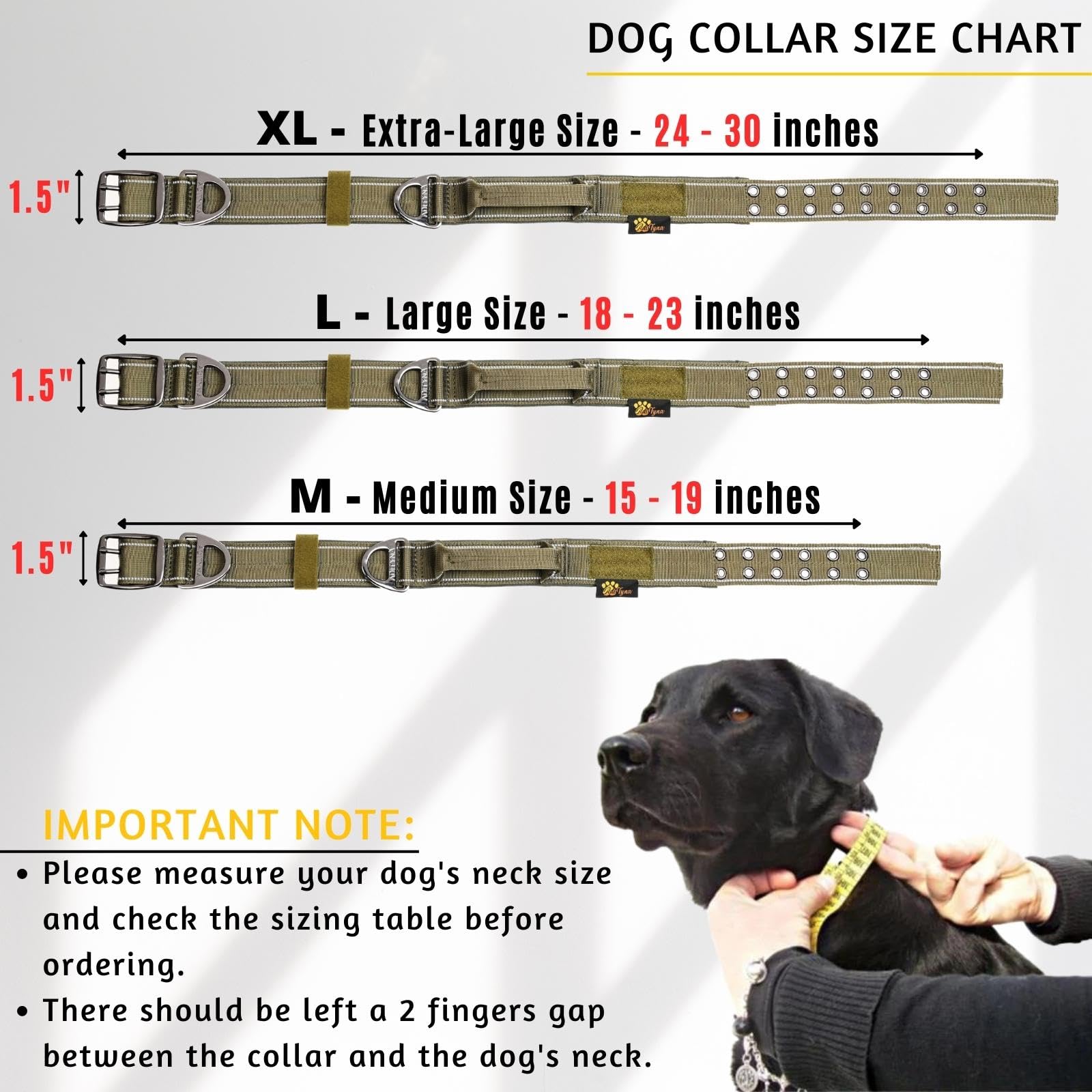ADITYNA heavy-duty D-ring and leash attachment point for secure control.