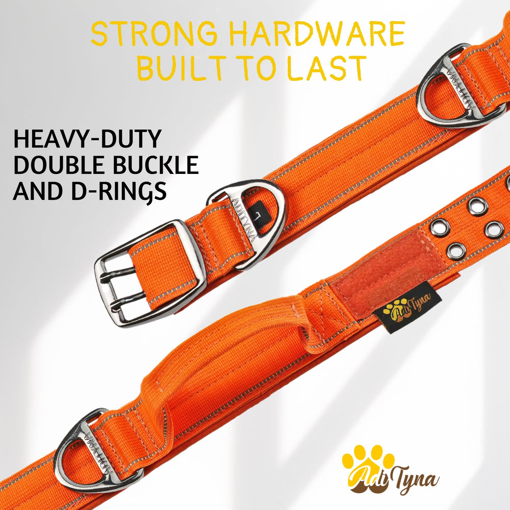 ADITYNA sturdy D-ring leash attachment for secure control during activities
