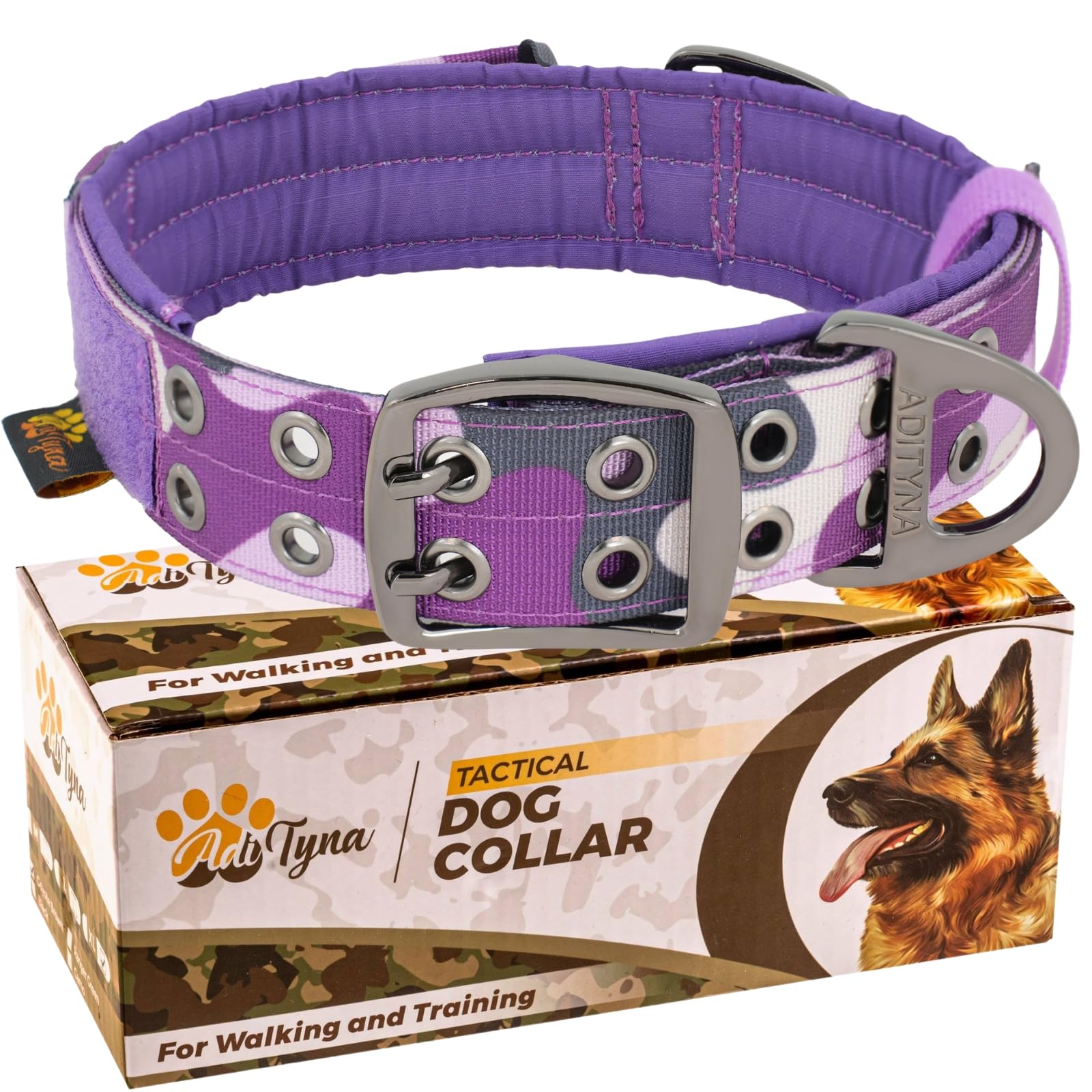 ADITYNA in-action walking scene displaying durable collar during outdoor adventures.