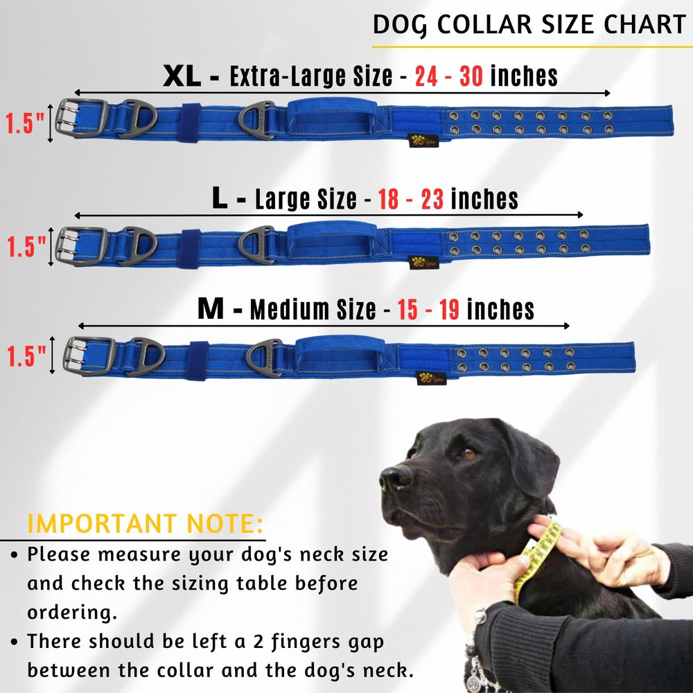 ADITYNA collar with handle for easier training and control