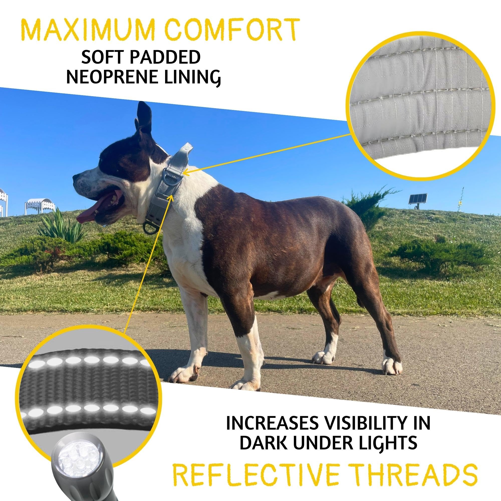 ADITYNA dog collar with handle for training and quick control.