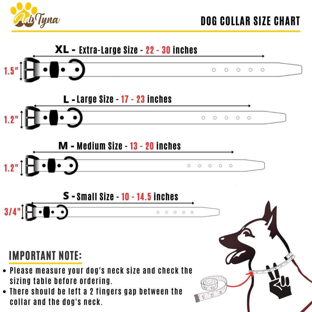 ADITYNA dog-walking scene emphasizes comfort and confidence during daily strolls.