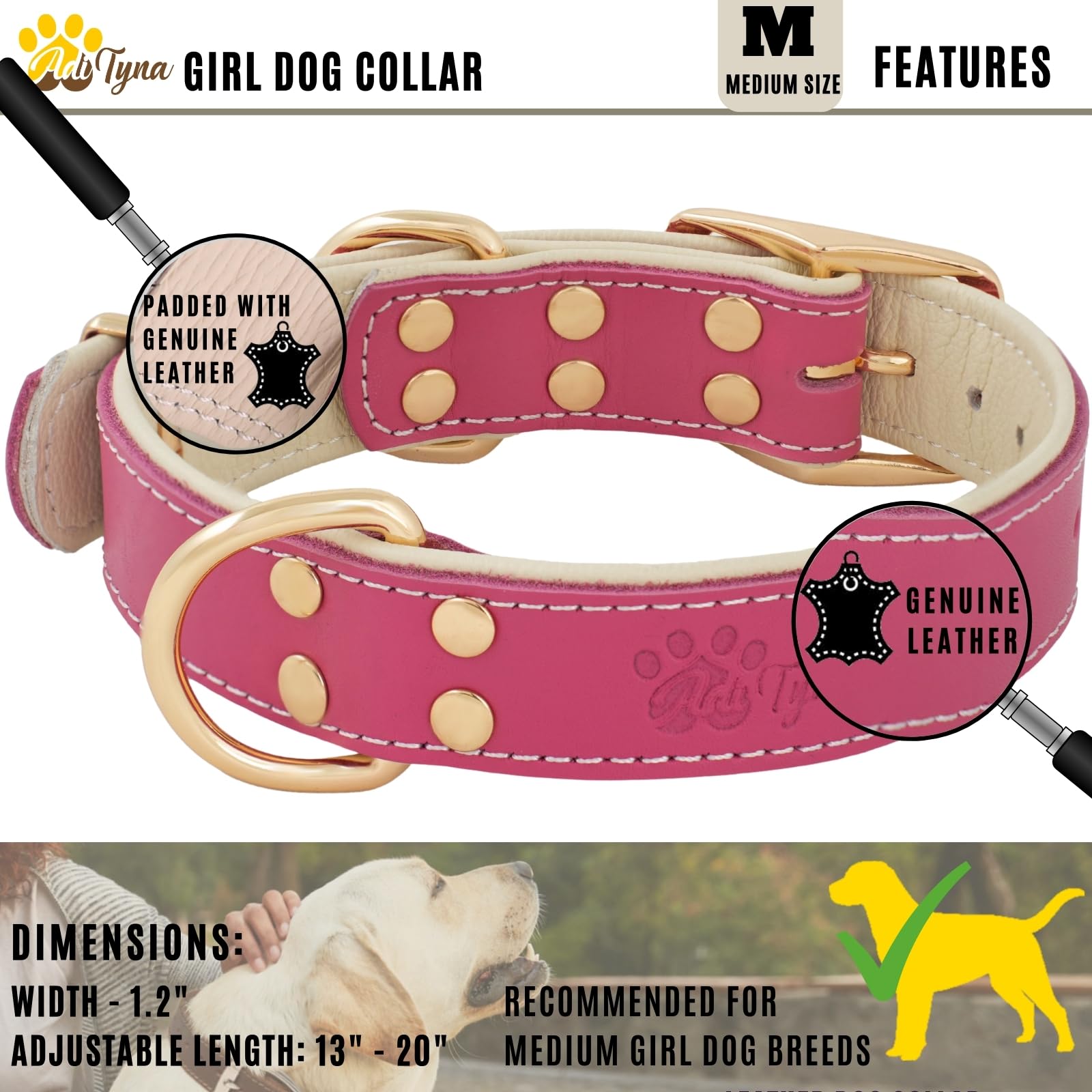 ADITYNA sturdy double buckle with dual D-rings for secure training