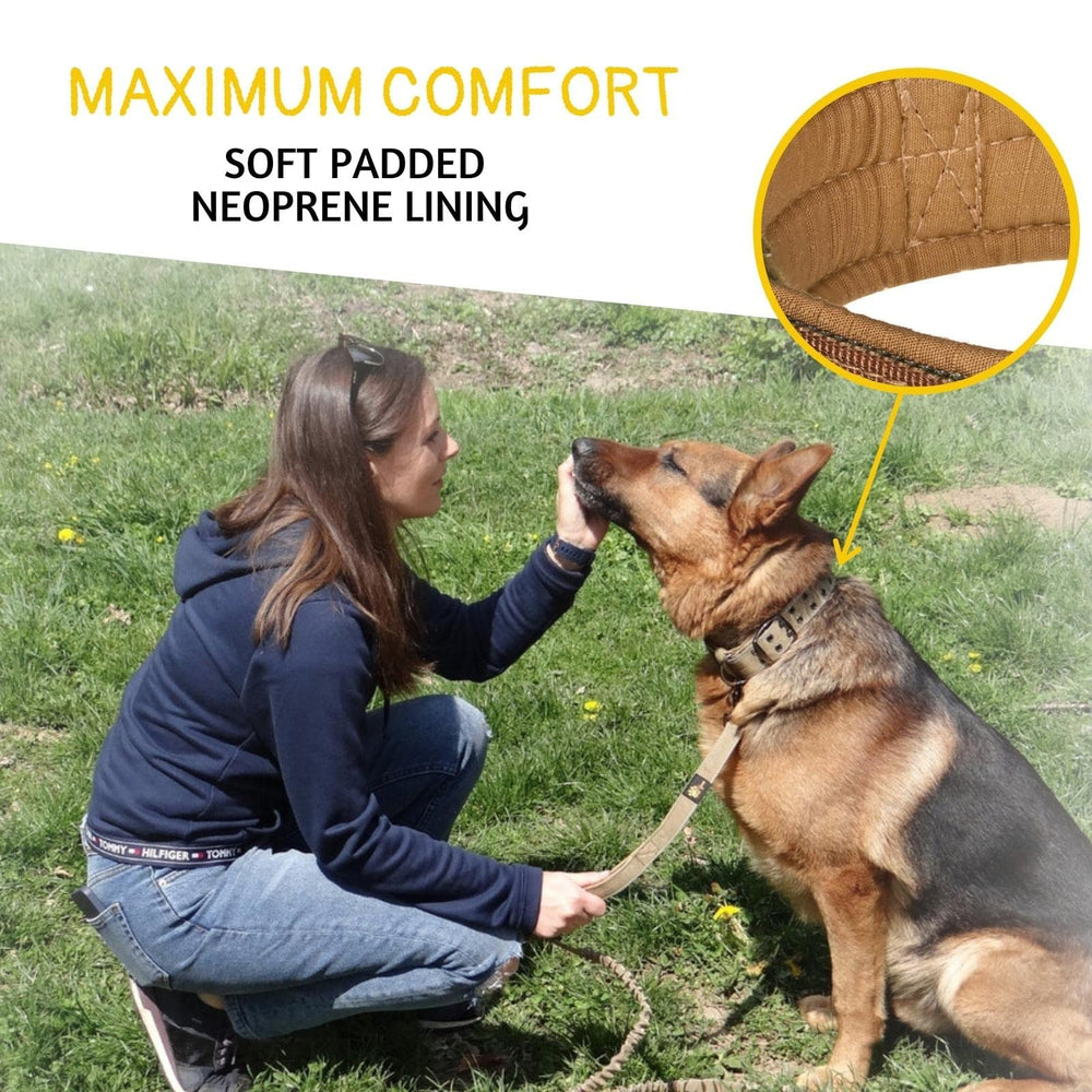 ADITYNA heavy-duty dog collar D-ring and nylon webbing detail for secure leash.