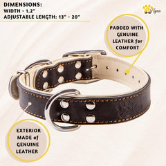 ADITYNA handcrafted leather collar packaged in a gift-ready box for dog lovers.