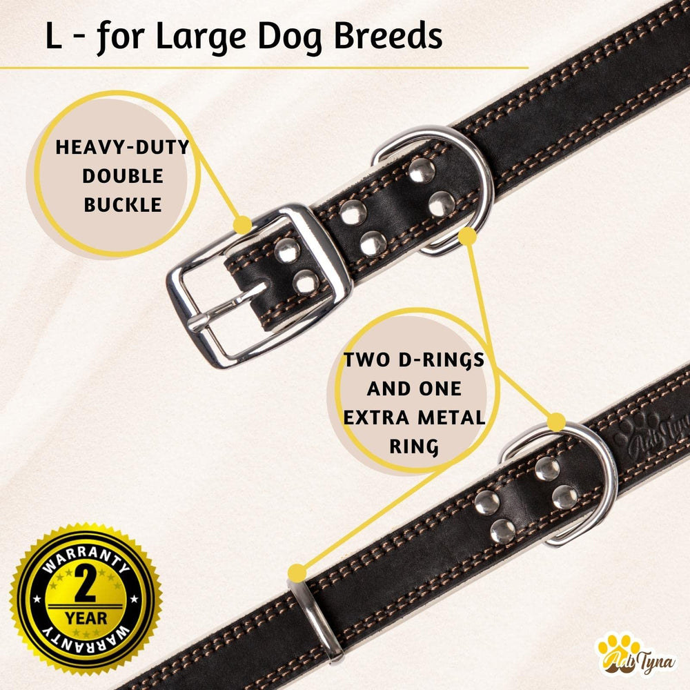 ADITYNA heavy-duty black leather dog collar action during a hike