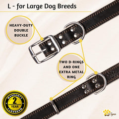 ADITYNA heavy-duty black leather dog collar action during a hike