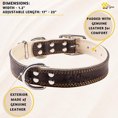 ADITYNA heavy-duty black leather dog collar buckle detail built to last
