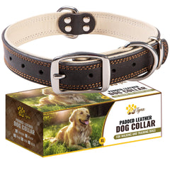 ADITYNA heavy-duty black leather dog collar side view showcasing rugged durability for daily walks
