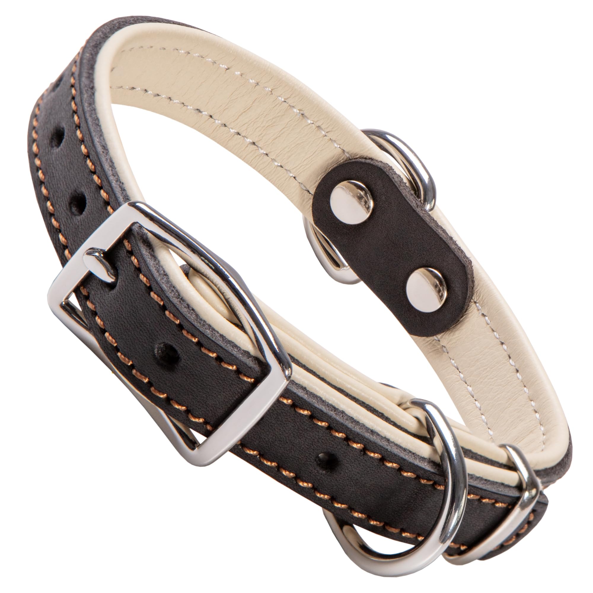 ADITYNA heavy-duty black leather dog collar close-up highlighting durable craftsmanship for small dogs.