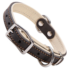 ADITYNA heavy-duty black leather dog collar close-up highlighting durable craftsmanship for small dogs.