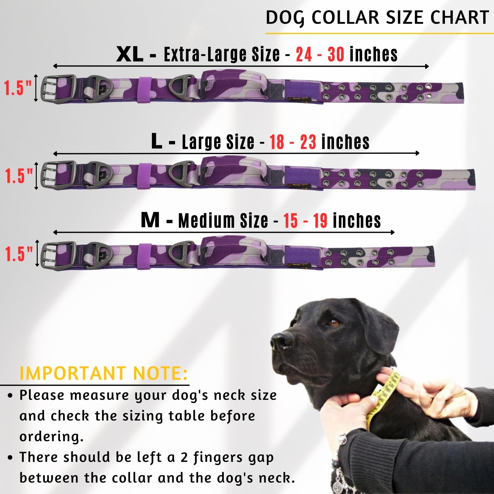 ADITYNA heavy-duty collar close-up showing neoprene padding for soft comfort