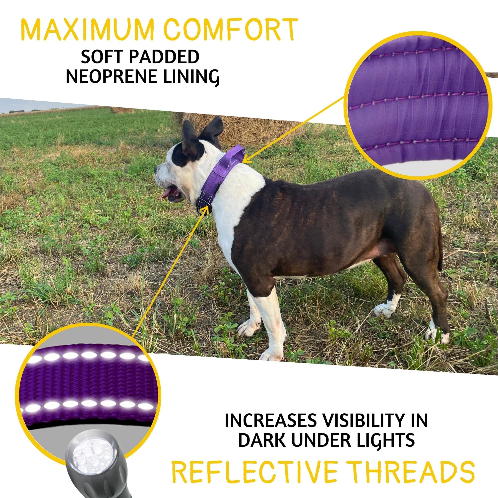 ADITYNA heavy-duty D-ring and leash attachment supports durable leash connections.
