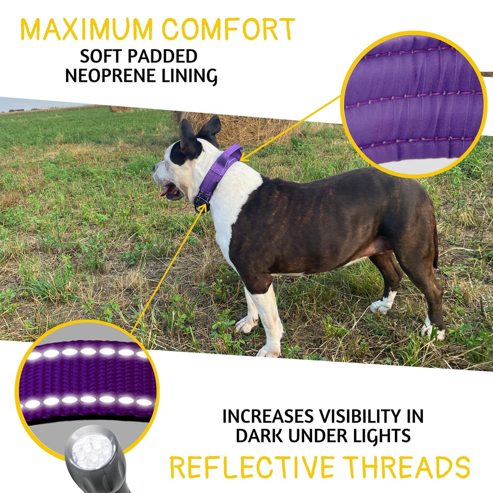 ADITYNA heavy-duty D-ring and leash attachment supports durable leash connections.