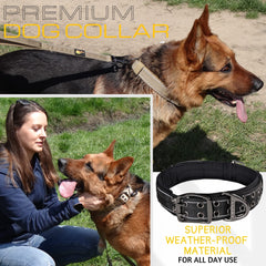 ADITYNA heavy-duty D-ring leash attachment highlights secure control