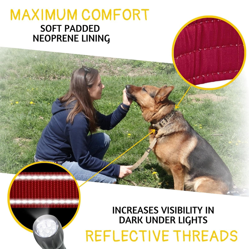 ADITYNA heavy-duty dog collar burgundy neoprene padding provides soft comfort and reduced chafing.