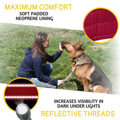 ADITYNA heavy-duty dog collar burgundy neoprene padding provides soft comfort and reduced chafing.