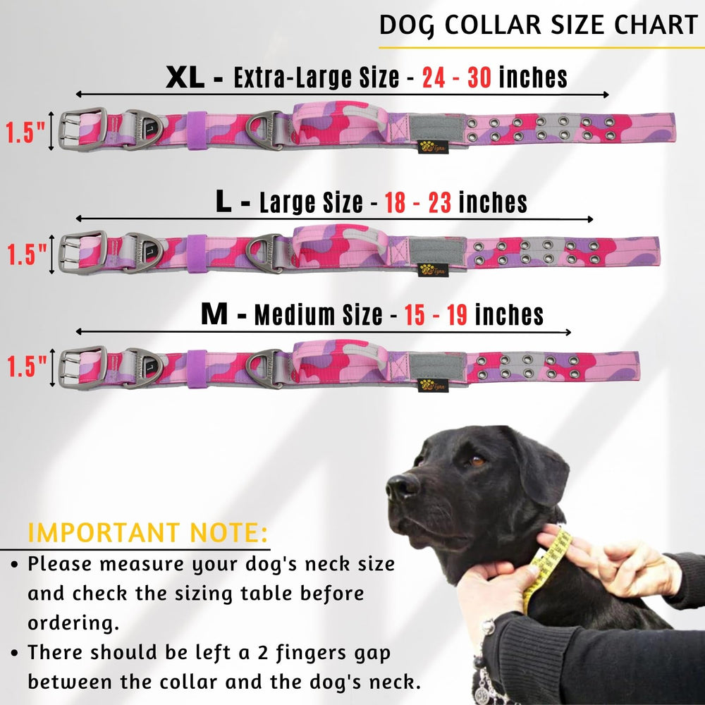 ADITYNA heavy-duty collar with handle for controlled training and busy areas.
