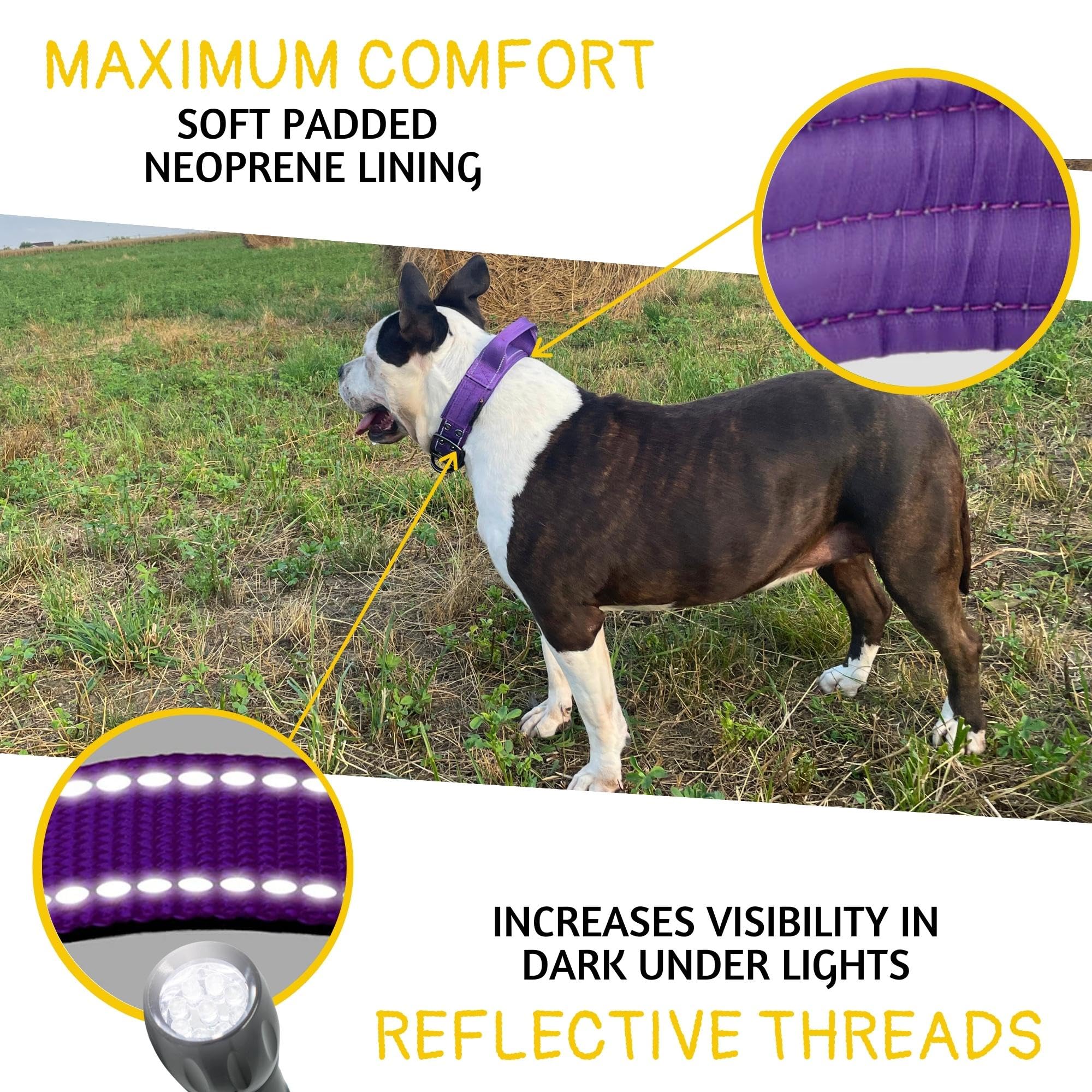 ADITYNA heavy-duty dog collar sturdy D-ring and nylon webbing durability.
