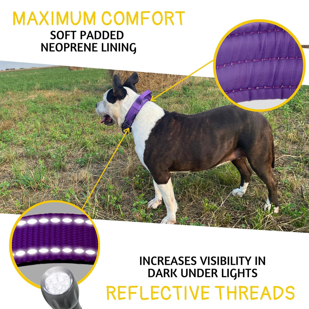ADITYNA heavy-duty dog collar sturdy D-ring and nylon webbing durability.