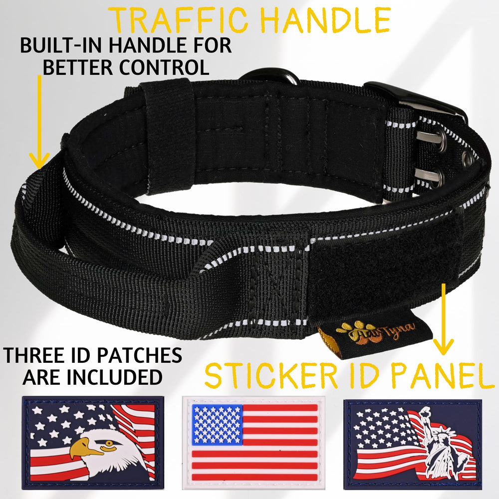 ADITYNA heavy-duty D-ring illustration for secure leash attachment