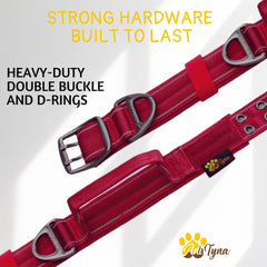 ADITYNA collar close-up shows durable D-ring and hardware for reliable leash control.