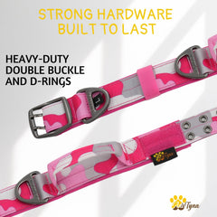 ADITYNA collar with sturdy D-ring for leash attachment during outdoor activities.