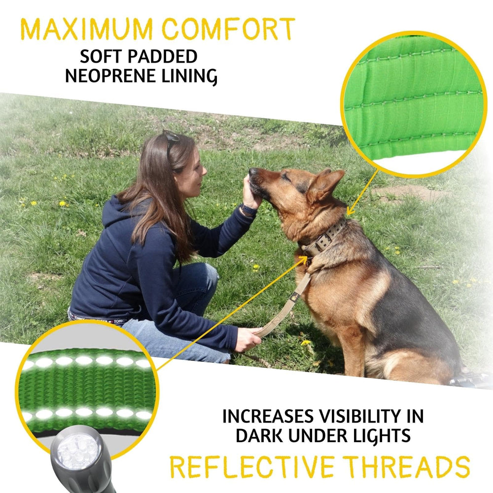 ADITYNA heavy-duty D-ring ensures secure leash attachment.
