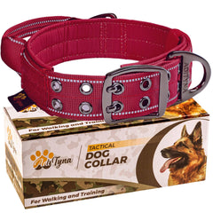 ADITYNA heavy-duty collar front burgundy shows sturdy design for confident walks.