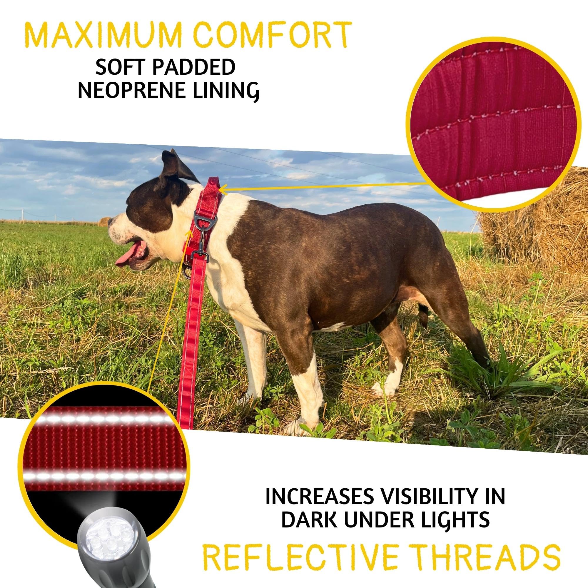 ADITYNA collar with handle captured in use for easy pet management.