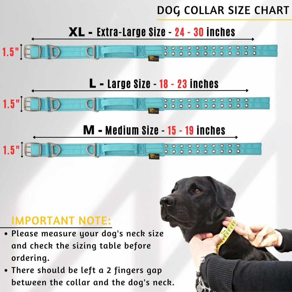 ADITYNA heavy-duty collar in use during training sessions for control