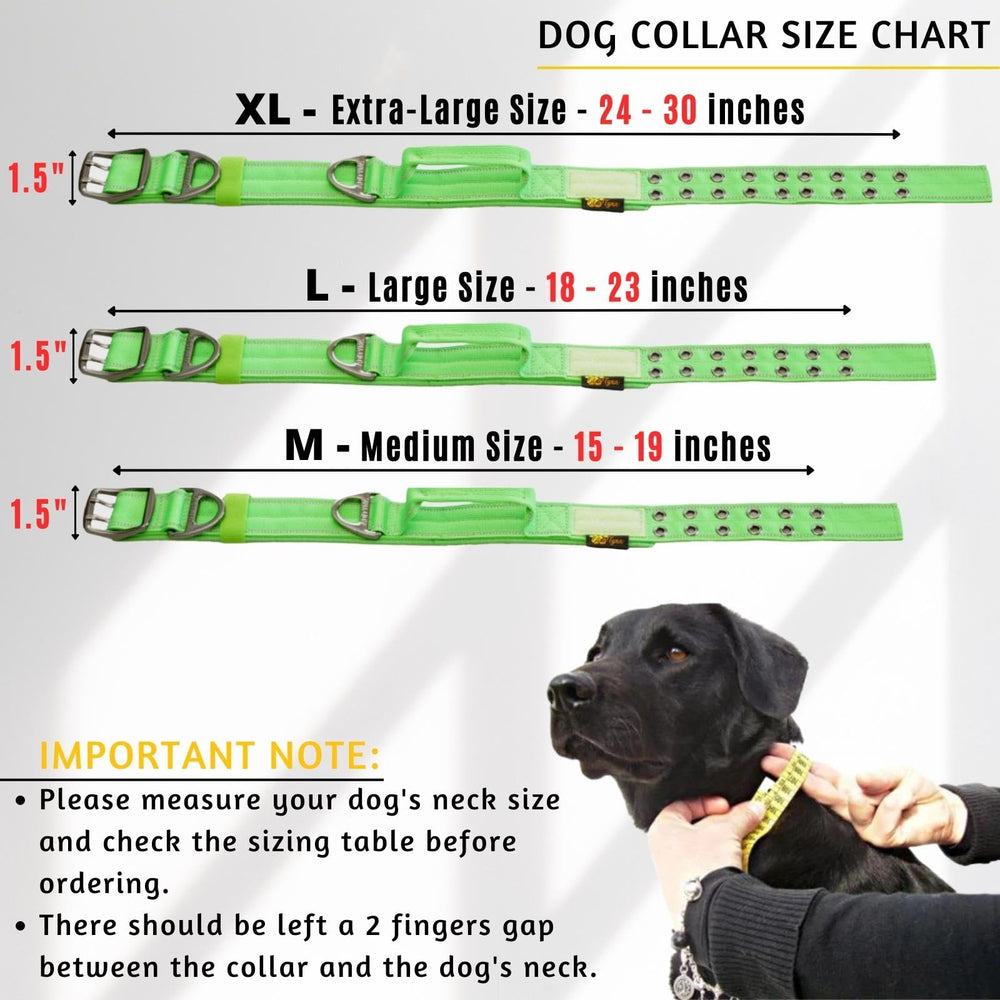 ADITYNA heavy duty dog collar with handle shown for training control in busy areas