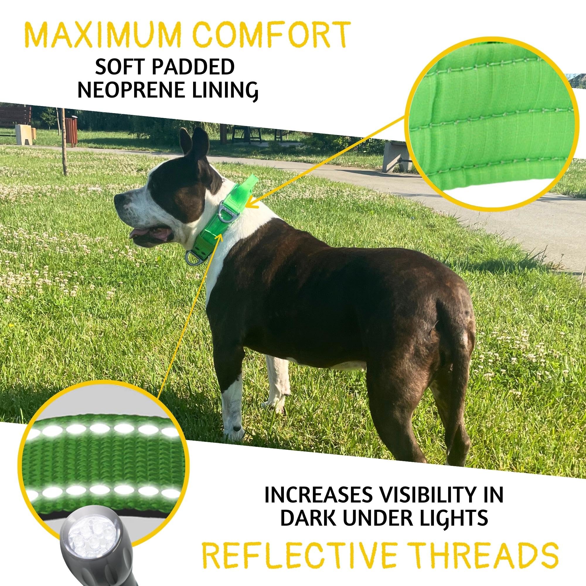 ADITYNA heavy duty dog collar neck size range 18 to 23 inches shown