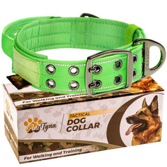 ADITYNA heavy duty dog collar weatherproof material shown during outdoor walk