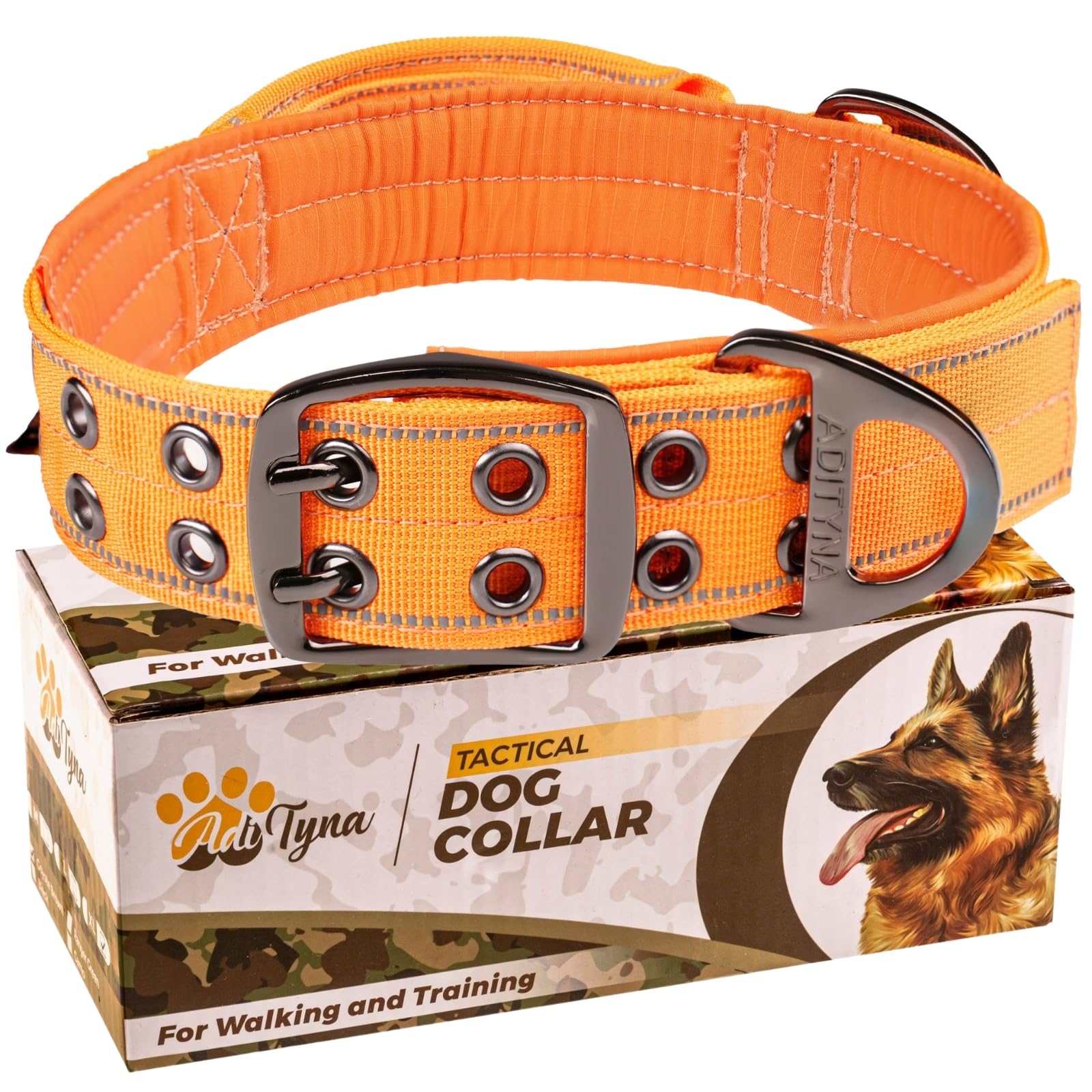 ADITYNA heavy-duty dog collar on a medium dog demonstrates durable nylon for daily walks