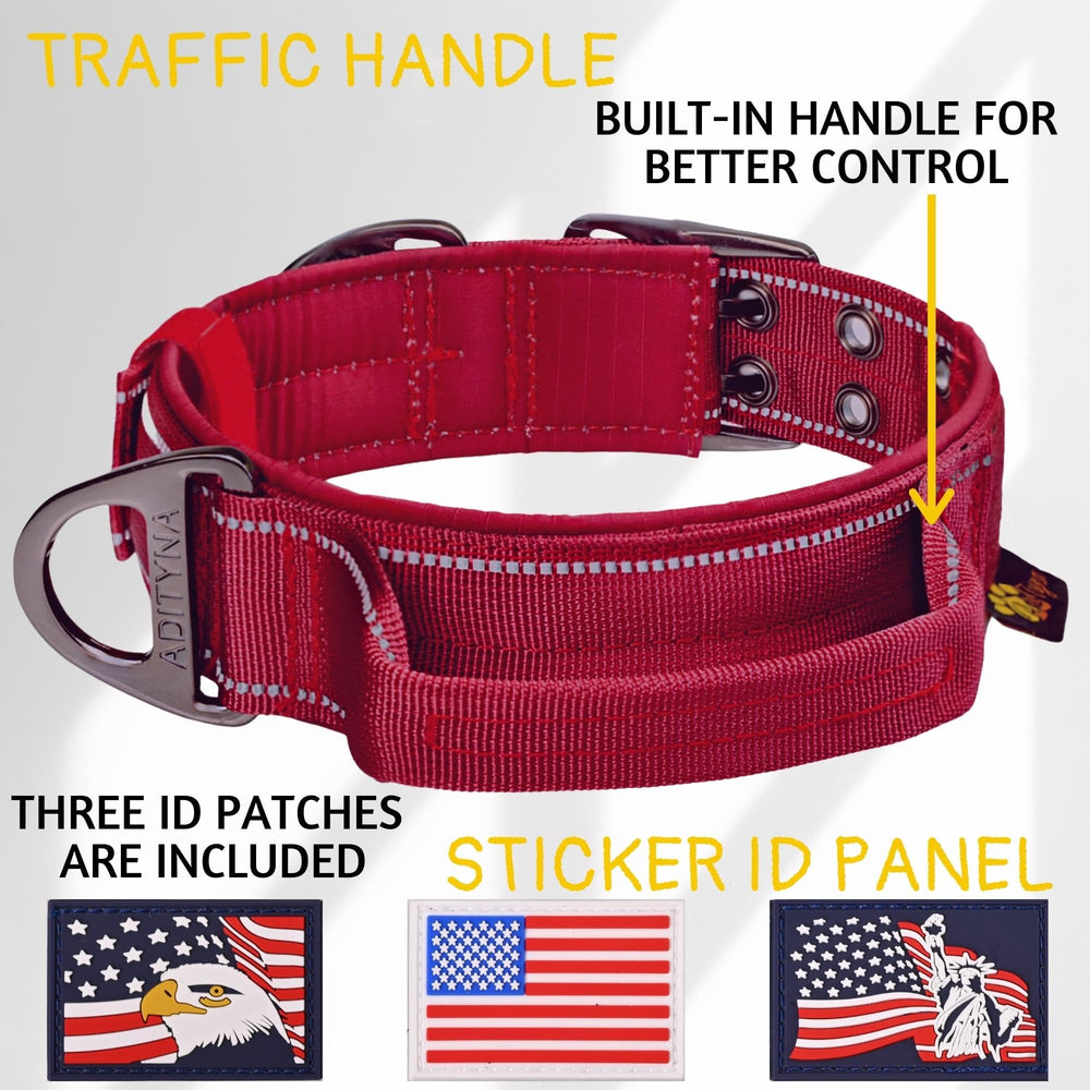 ADITYNA heavy-duty collar reflective stitching enhances visibility during nighttime walks.