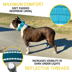 ADITYNA reflective stitching close-up enhances night-time visibility for safer walks