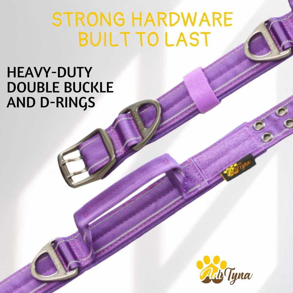ADITYNA heavy-duty dog collar reflective stitching improves night visibility.