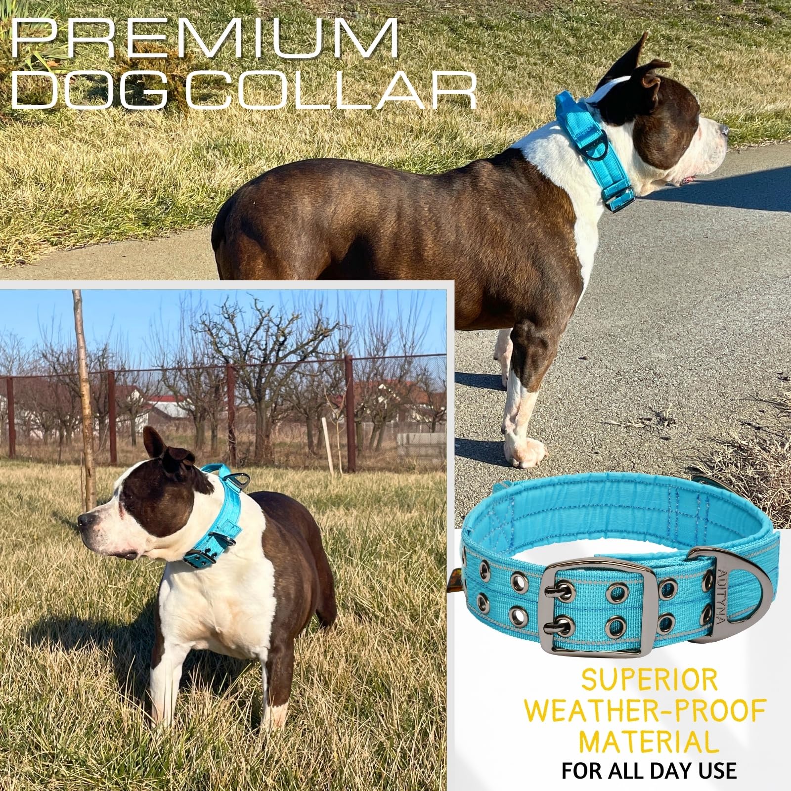 ADITYNA collar with reflective stitching glints during night walks for safety