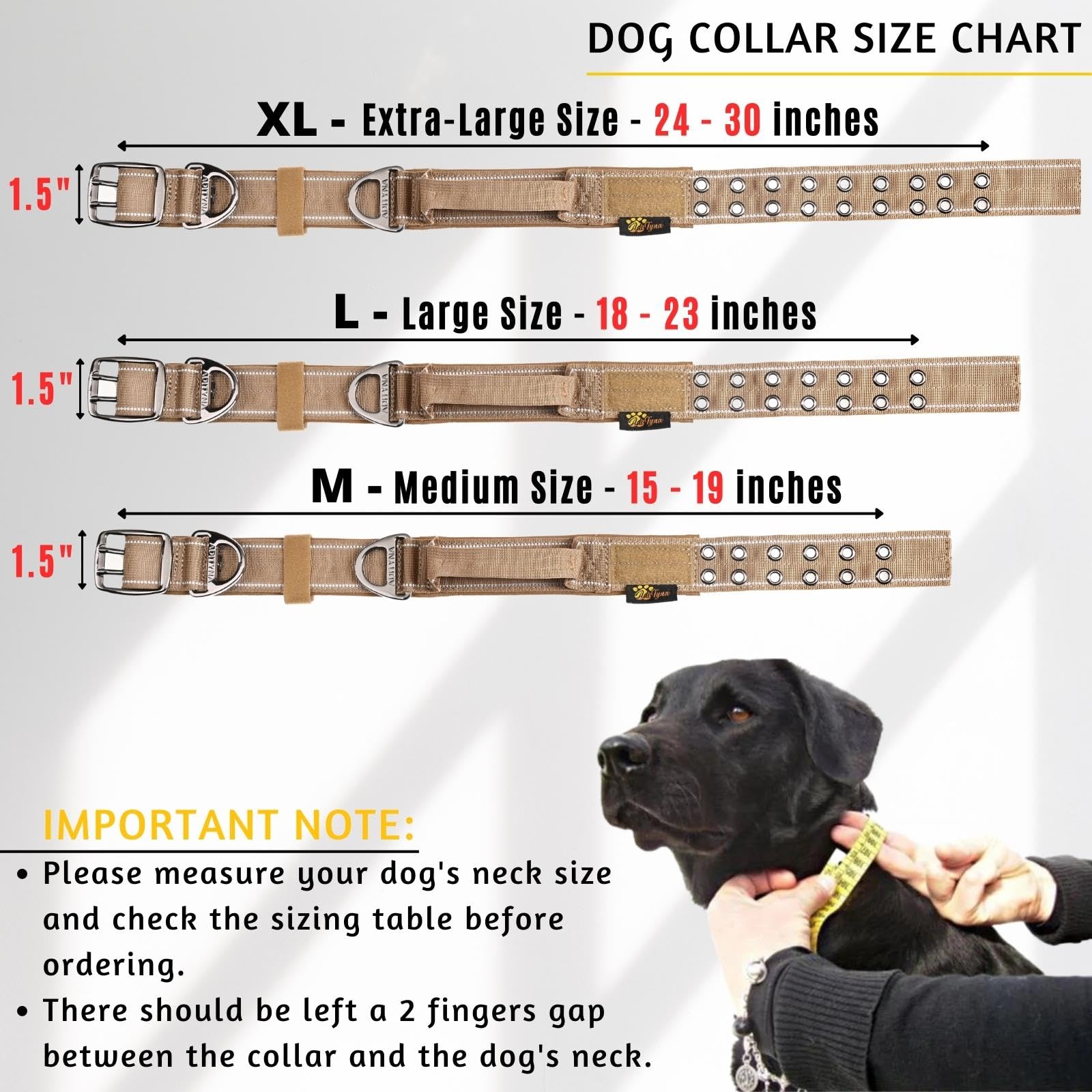 ADITYNA heavy duty dog collar soft neoprene padding closeup conveys soft comfort on neck