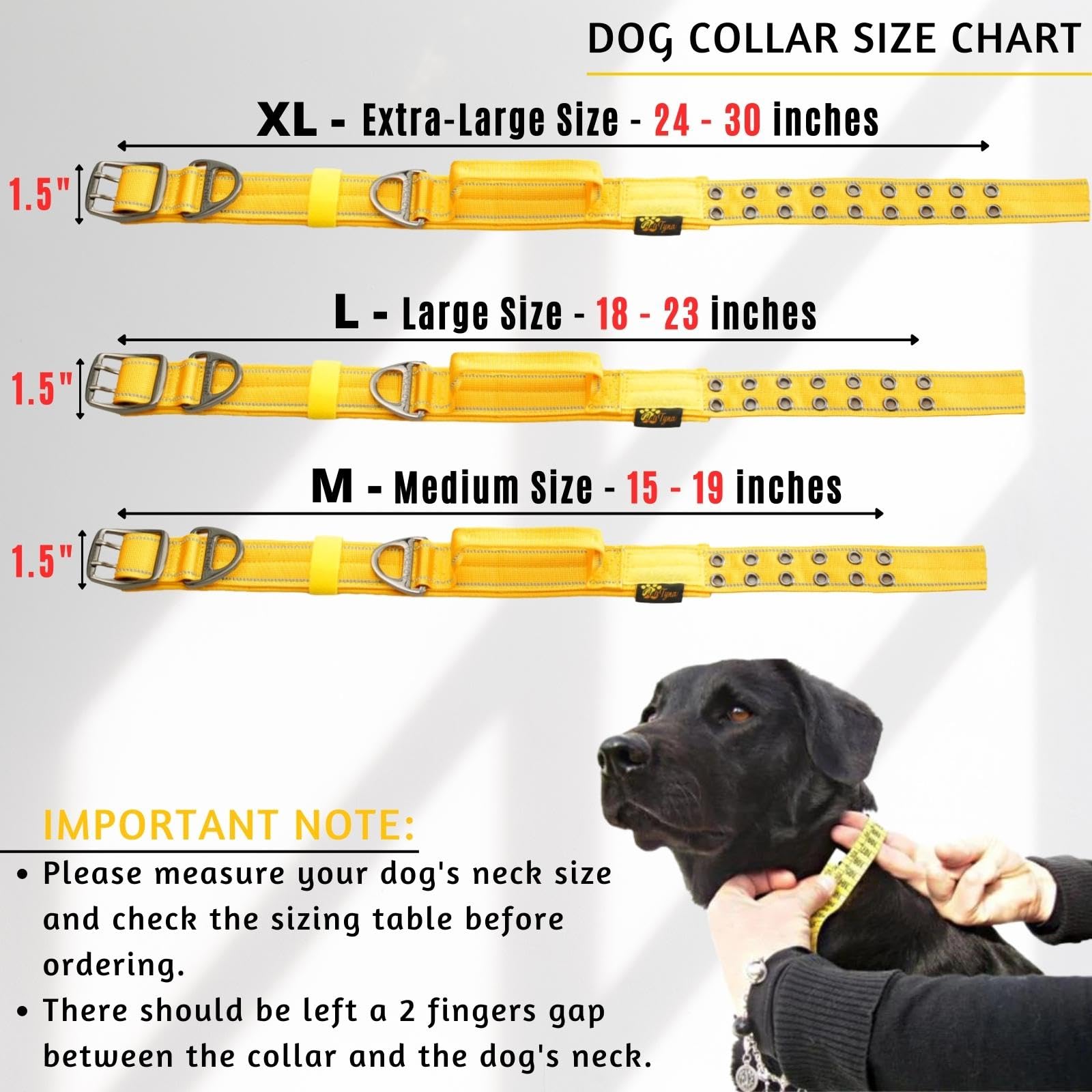 ADITYNA heavy-duty dog collar soft neoprene padding enhances comfort during long walks.