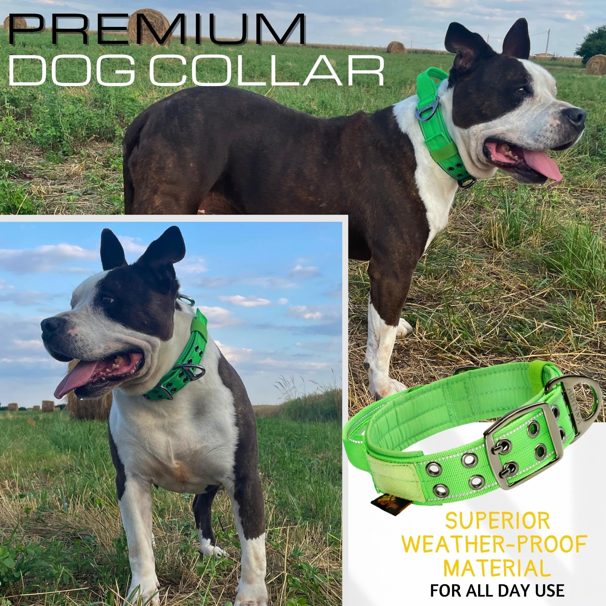 ADITYNA heavy-duty dog collar walking-use shows versatile outdoor use