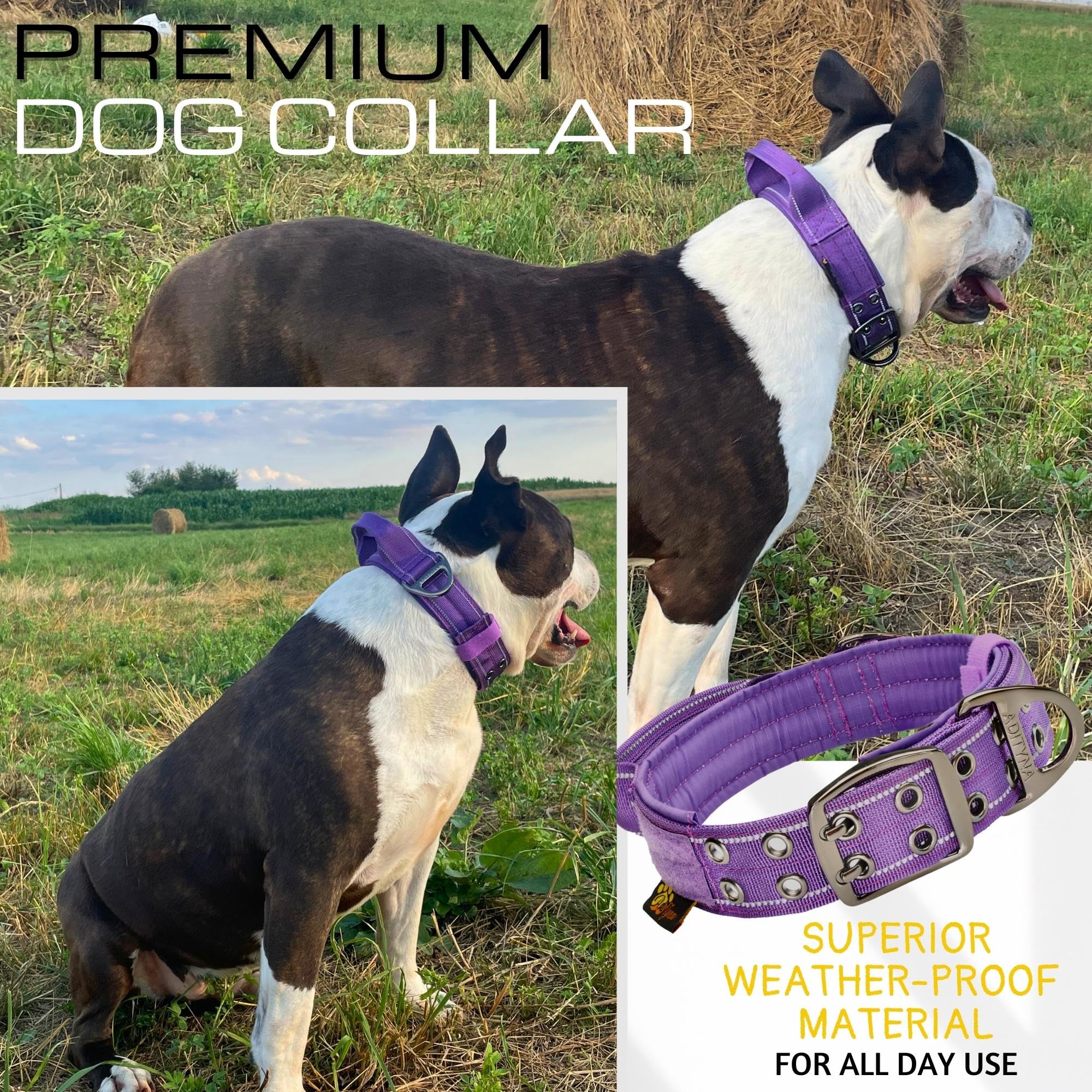 ADITYNA heavy-duty dog collar warranty and support for long-term reliability.